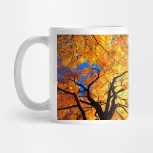 Explosion of Colors Mug